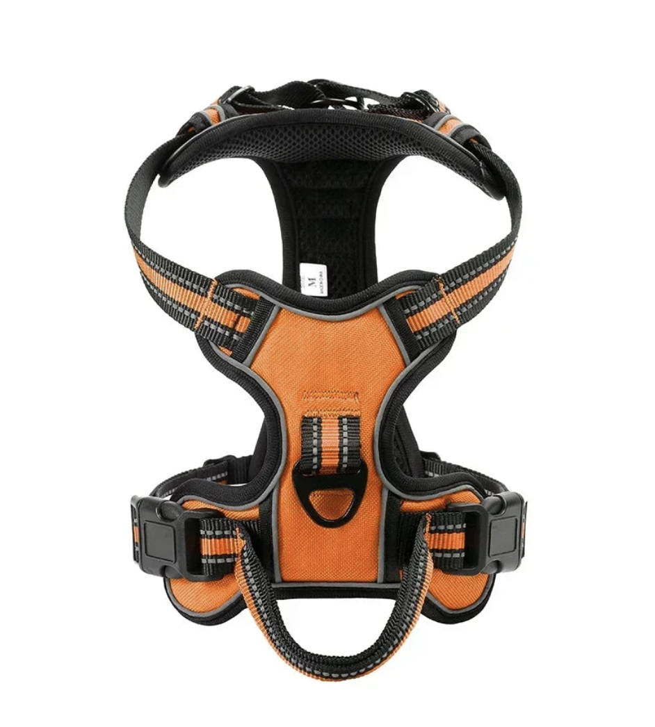 FlexiWalk Pro™ – Arnés Acolchado Antitirones para Perro