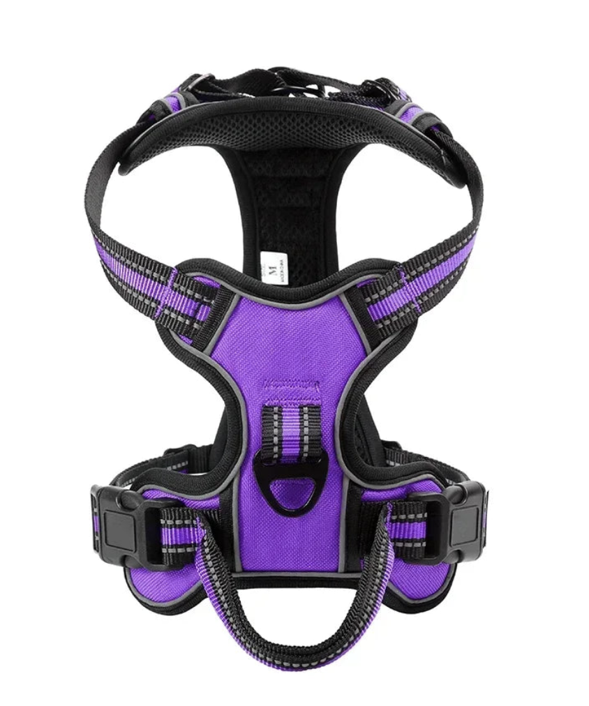 FlexiWalk Pro™ – Arnés Acolchado Antitirones para Perro