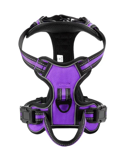 FlexiWalk Pro™ – Arnés Acolchado Antitirones para Perro